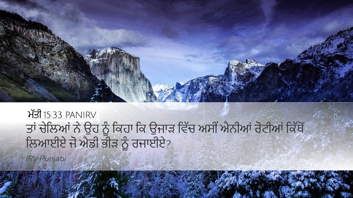 ਮੱਤੀ 15:33 PANIRV Bible Verse Image