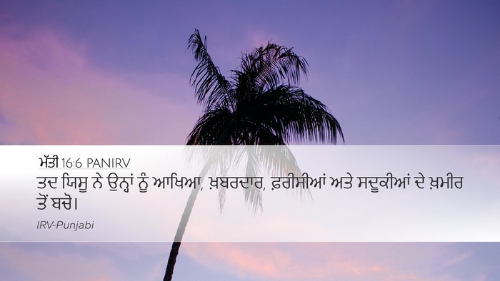 ਮੱਤੀ 16:6 PANIRV Bible Verse Image