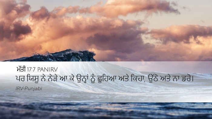 ਮੱਤੀ 17:7 PANIRV Bible Verse Image