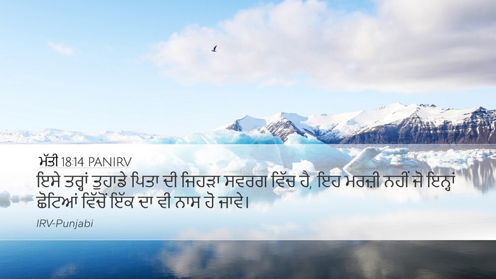 ਮੱਤੀ 18:14 PANIRV Bible Verse Image