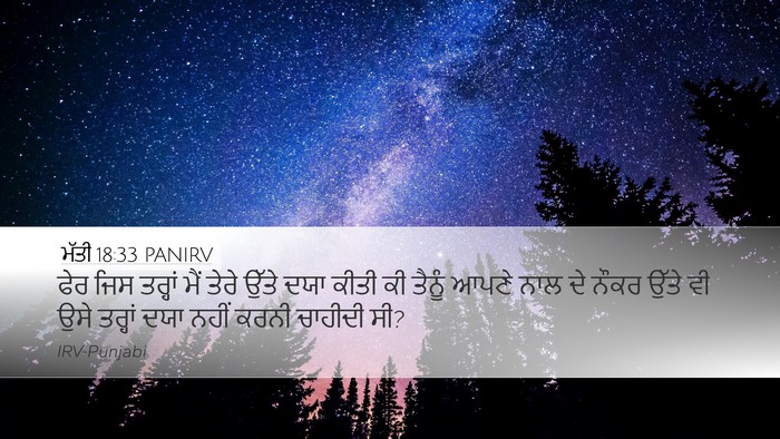 ਮੱਤੀ 18:33 PANIRV Bible Verse Image
