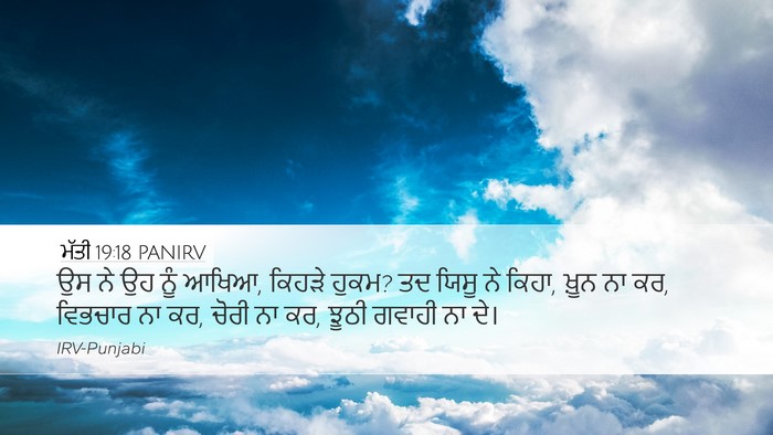 ਮੱਤੀ 19:18 PANIRV Bible Verse Image