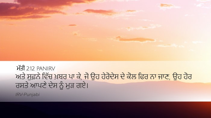 ਮੱਤੀ 2:12 PANIRV Bible Verse Image