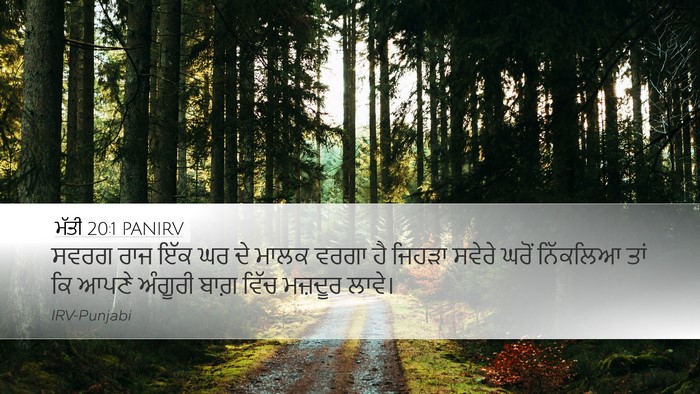 ਮੱਤੀ 20:1 PANIRV Bible Verse Image