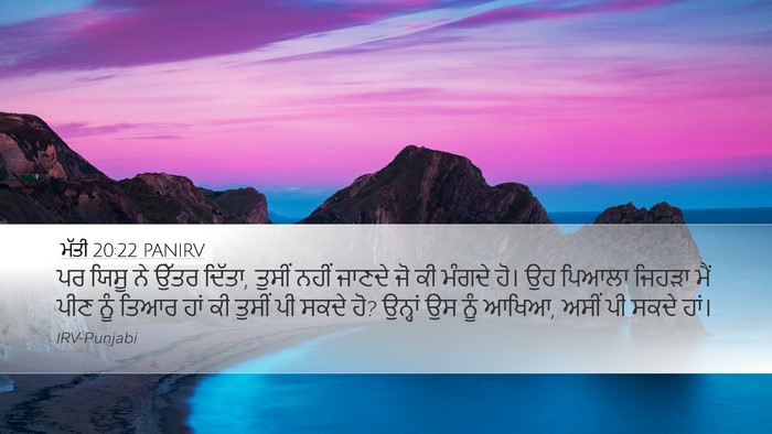 ਮੱਤੀ 20:22 PANIRV Desktop Wallpaper - ਪਰ ਯਿਸੂ ਨੇ ਉੱਤਰ - Desktop Bible Verse Wallpaper
