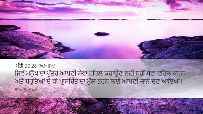 ਮੱਤੀ 20:28 PANIRV Bible Verse Image