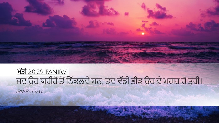ਮੱਤੀ 20:29 PANIRV Bible Verse Image