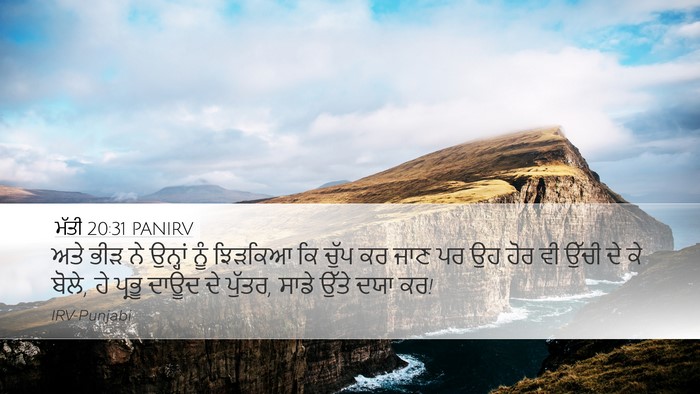 ਮੱਤੀ 20:31 PANIRV Bible Verse Image