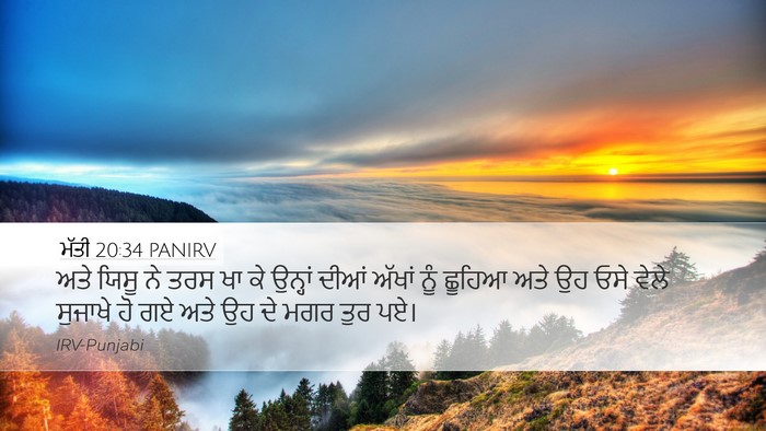 ਮੱਤੀ 20:34 PANIRV Bible Verse Image