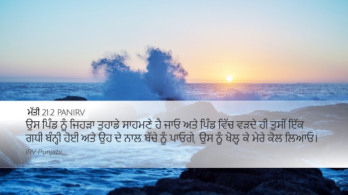 ਮੱਤੀ 21:2 PANIRV Desktop Wallpaper - ਉਸ ਪਿੰਡ ਨੂੰ ਜਿਹੜਾ - Desktop Bible Verse Wallpaper