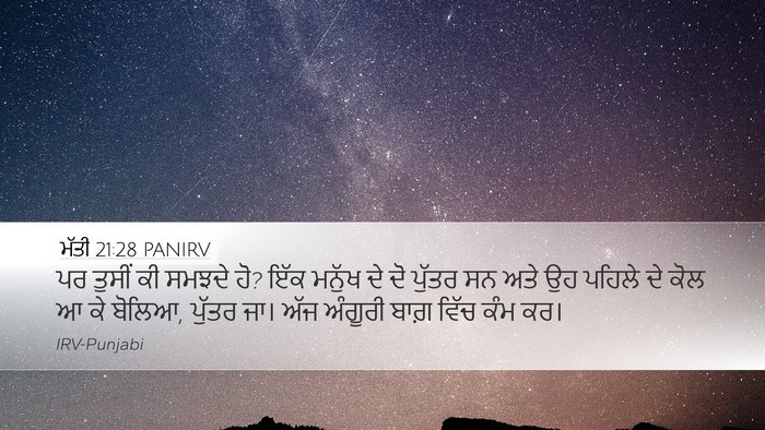 ਮੱਤੀ 21:28 PANIRV Bible Verse Image