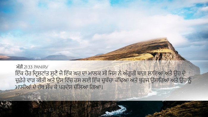ਮੱਤੀ 21:33 PANIRV Bible Verse Image