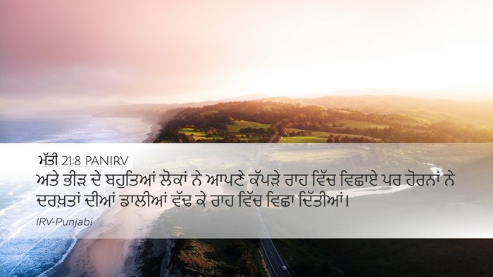 ਮੱਤੀ 21:8 PANIRV Desktop Wallpaper - ਅਤੇ ਭੀੜ ਦੇ ਬਹੁਤਿਆਂ - Desktop Bible Verse Wallpaper
