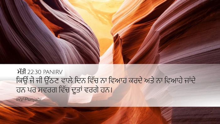 ਮੱਤੀ 22:30 PANIRV Bible Verse Image