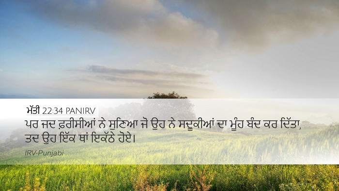 ਮੱਤੀ 22:34 PANIRV Bible Verse Image
