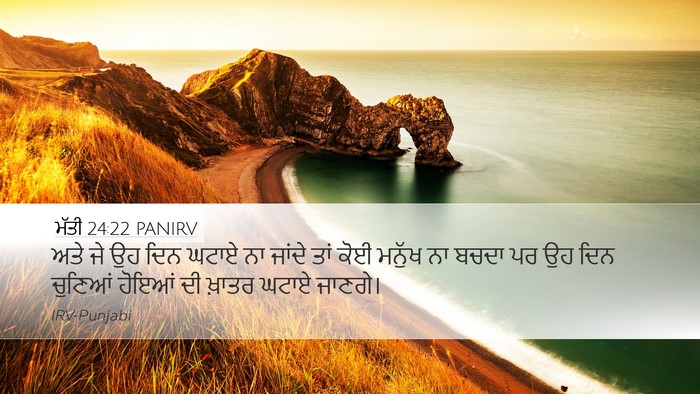 ਮੱਤੀ 24:22 PANIRV Bible Verse Image