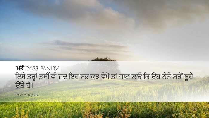 ਮੱਤੀ 24:33 PANIRV Bible Verse Image