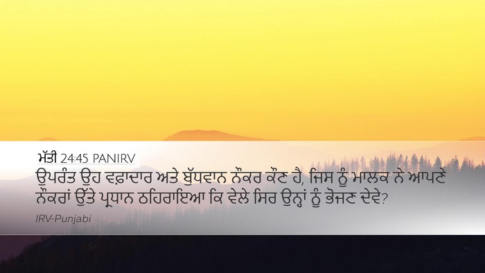 ਮੱਤੀ 24:45 PANIRV Bible Verse Image