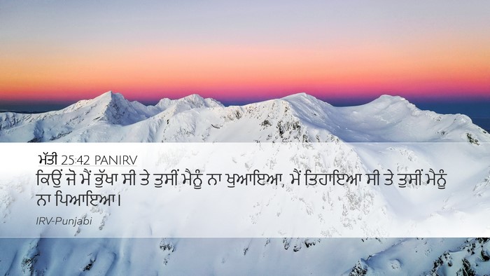 ਮੱਤੀ 25:42 PANIRV Bible Verse Image