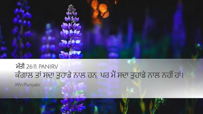 ਮੱਤੀ 26:11 PANIRV Bible Verse Image