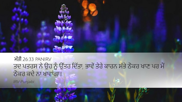 ਮੱਤੀ 26:33 PANIRV Desktop Wallpaper - ਤਦ ਪਤਰਸ ਨੇ ਉਹ ਨੂੰ - Desktop Bible Verse Wallpaper