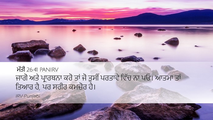 ਮੱਤੀ 26:41 PANIRV Bible Verse Image