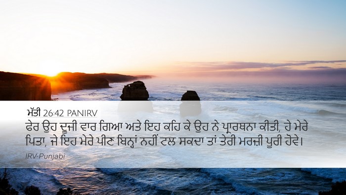 ਮੱਤੀ 26:42 PANIRV Bible Verse Image
