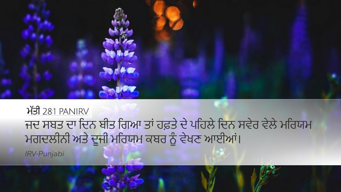 ਮੱਤੀ 28:1 PANIRV Bible Verse Image