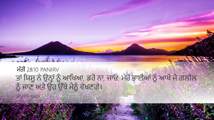 ਮੱਤੀ 28:10 PANIRV Bible Verse Image