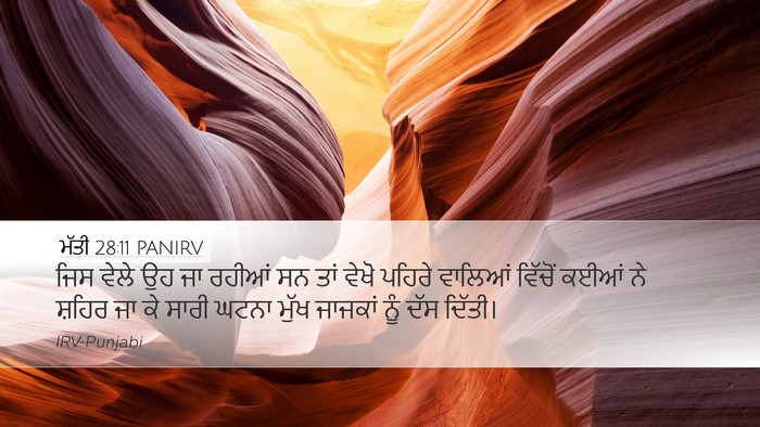 ਮੱਤੀ 28:11 PANIRV Bible Verse Image