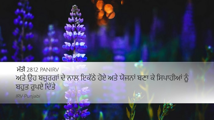 ਮੱਤੀ 28:12 PANIRV Desktop Wallpaper - ਅਤੇ ਉਹ ਬਜ਼ੁਰਗਾਂ ਦੇ - Desktop Bible Verse Wallpaper