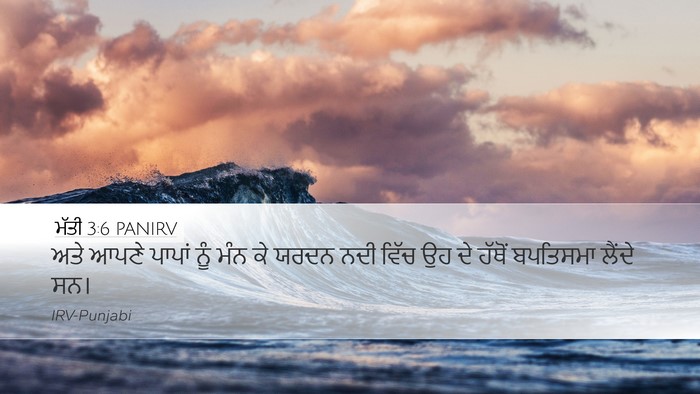 ਮੱਤੀ 3:6 PANIRV Bible Verse Image