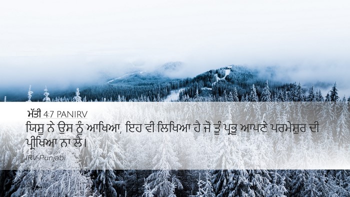 ਮੱਤੀ 4:7 PANIRV Desktop Wallpaper - ਯਿਸੂ ਨੇ ਉਸ ਨੂੰ - Desktop Bible Verse Wallpaper