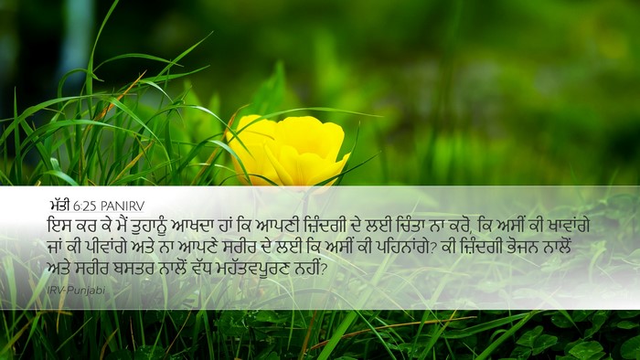 ਮੱਤੀ 6:25 PANIRV Bible Verse Image