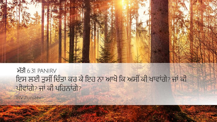ਮੱਤੀ 6:31 PANIRV Bible Verse Image
