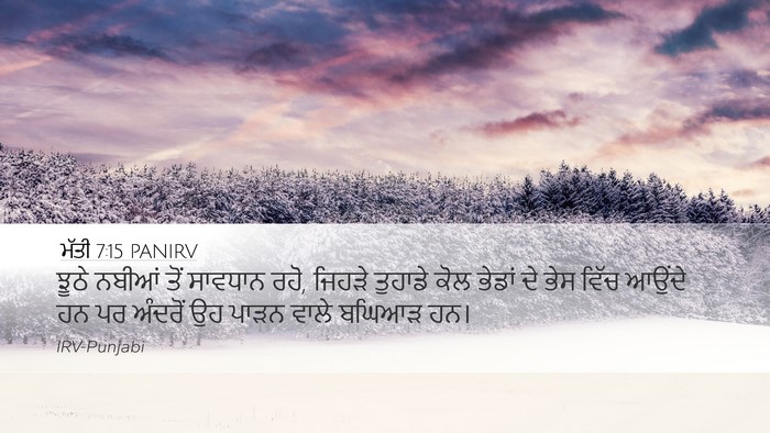ਮੱਤੀ 7:15 PANIRV Bible Verse Image