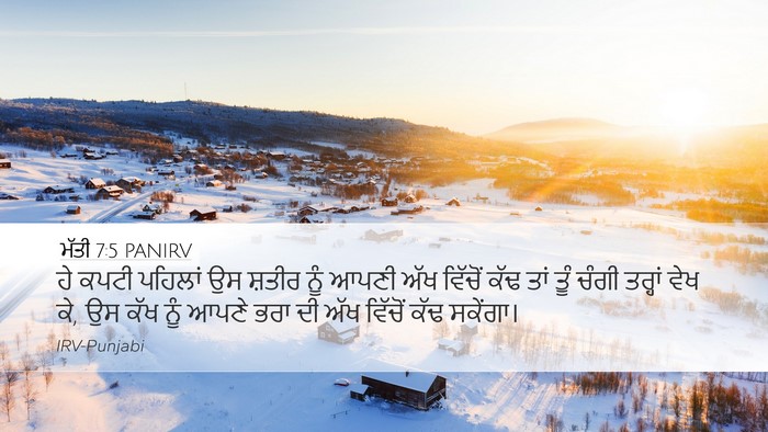 ਮੱਤੀ 7:5 PANIRV Bible Verse Image