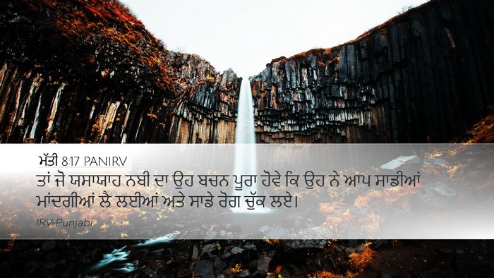 ਮੱਤੀ 8:17 PANIRV Bible Verse Image