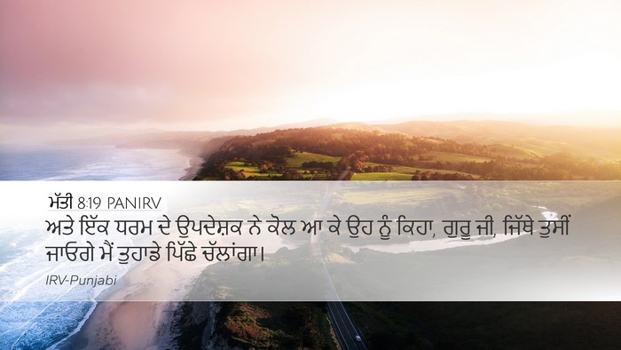 ਮੱਤੀ 8:19 PANIRV Bible Verse Image