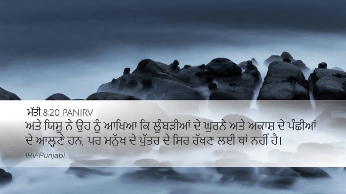 ਮੱਤੀ 8:20 PANIRV Bible Verse Image