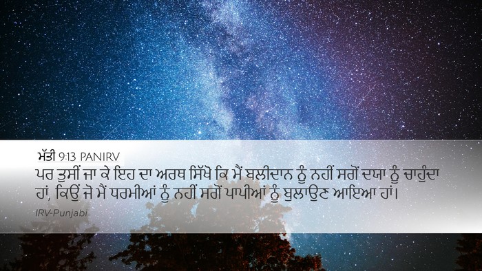ਮੱਤੀ 9:13 PANIRV Bible Verse Image