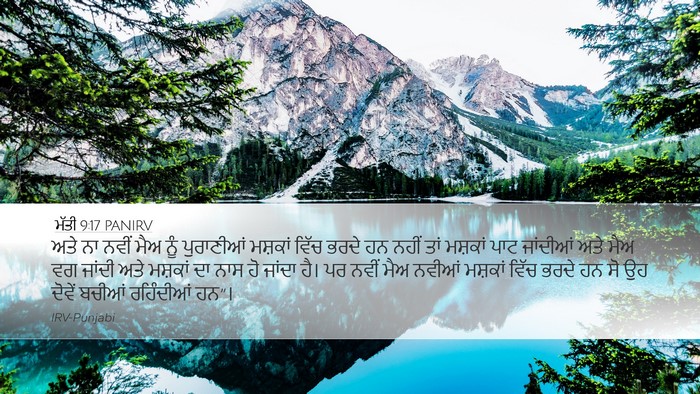 ਮੱਤੀ 9:17 PANIRV Bible Verse Image