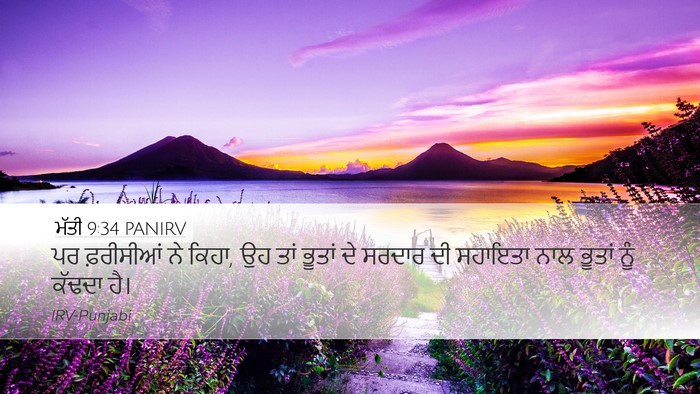 ਮੱਤੀ 9:34 PANIRV Bible Verse Image