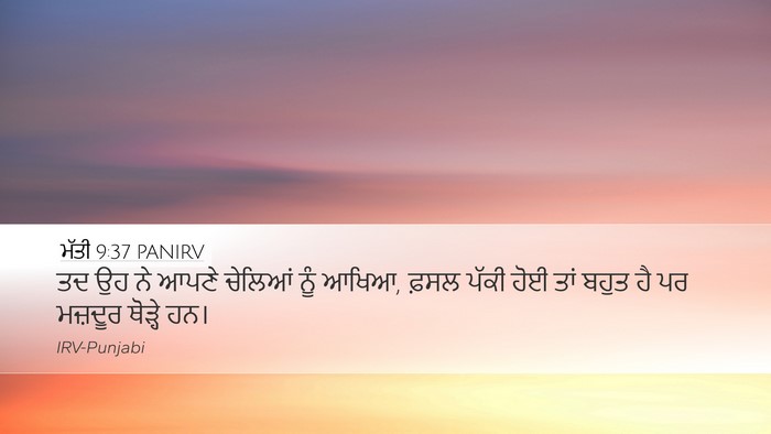 ਮੱਤੀ 9:37 PANIRV Bible Verse Image