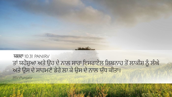 ਯਸ਼ਵਾ 10:31 PANIRV Bible Verse Image