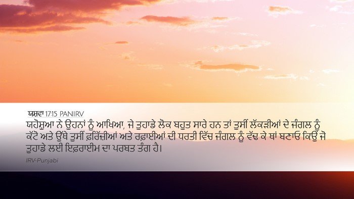 ਯਸ਼ਵਾ 17:15 PANIRV Bible Verse Image