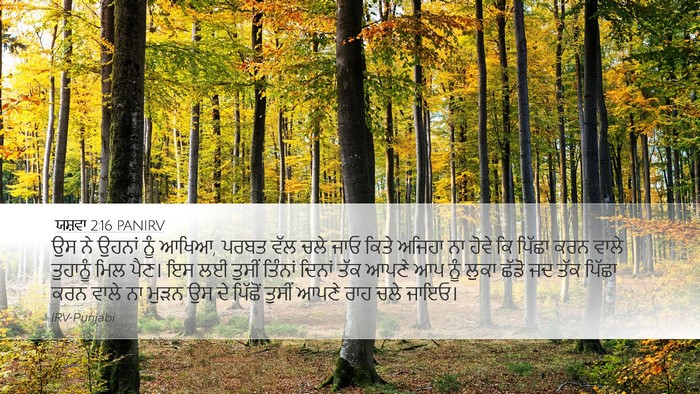 ਯਸ਼ਵਾ 2:16 PANIRV Bible Verse Image