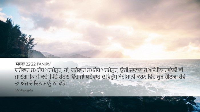 ਯਸ਼ਵਾ 22:22 PANIRV Bible Verse Image