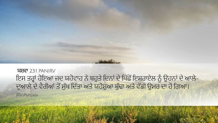 ਯਸ਼ਵਾ 23:1 PANIRV Bible Verse Image