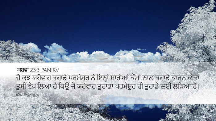 ਯਸ਼ਵਾ 23:3 PANIRV Bible Verse Image